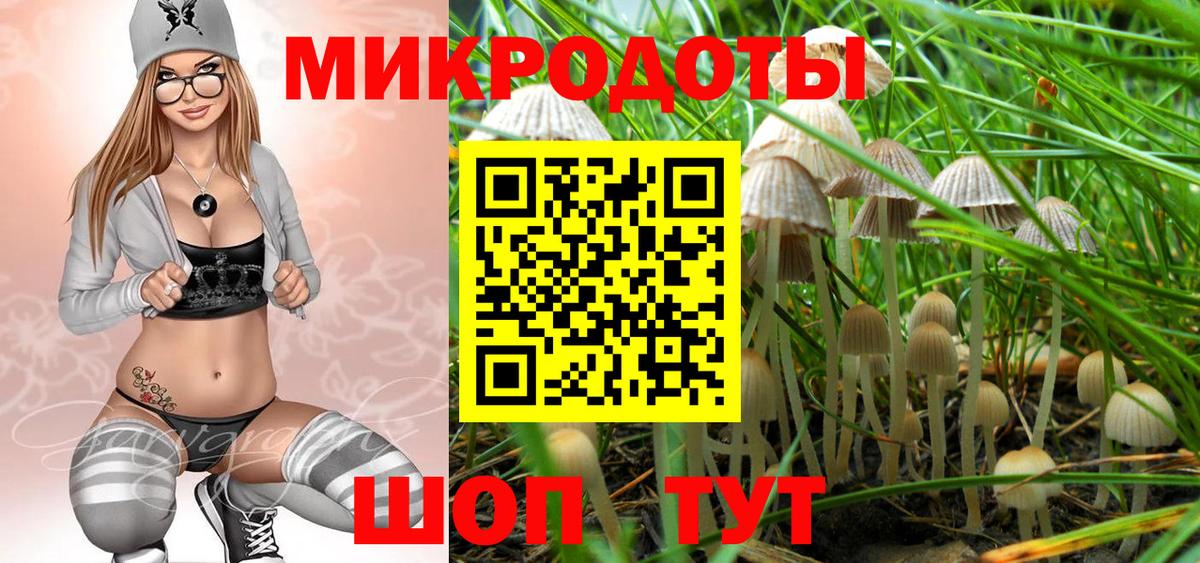 Пыть-Ях  Псилоцибиновые грибы GOLDEN TEACHER  Вход с VPN 